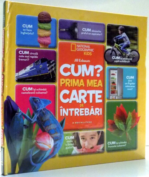 CUM ? PRIMA MEA CARTE DE INTREBARI de JILL ESBAUM , 2017