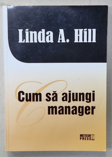 CUM SA AJUNGI MANAGER de LINDA A . HILL , 2012