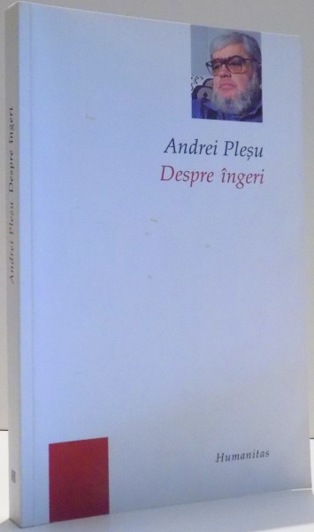 DESPRE INGERI de ANDREI PLESU , 2006 * PREZINTA HALOURI DE APA