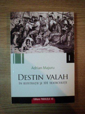 DESTIN VALAH. IN ILUSTRATII SI 101 TEXTICULETE de ADRIAN MAJURU  2009 , PREZINTA INSEMNARI CU MARKERUL