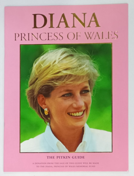 DIANA , PRINCESS OF WALES by BRIAN HOEY , 1998