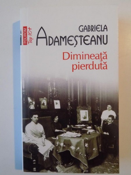 DIMINEATA PIERDUTA de GABRIELA ADAMESTEANU , 2011