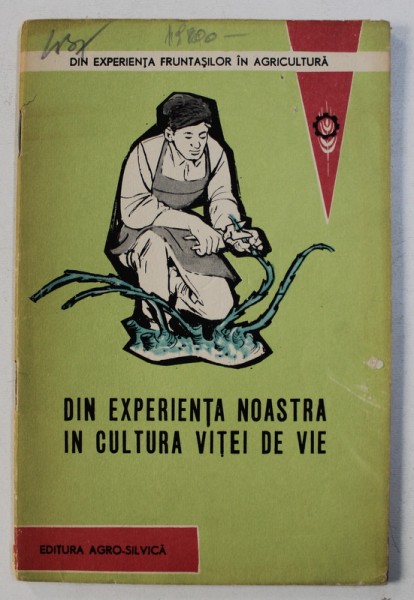 DIN EXPERIENTA NOASTRA IN CULTURA VITEI DE VIE de GHEORGHE POSTOLACHE , 1963