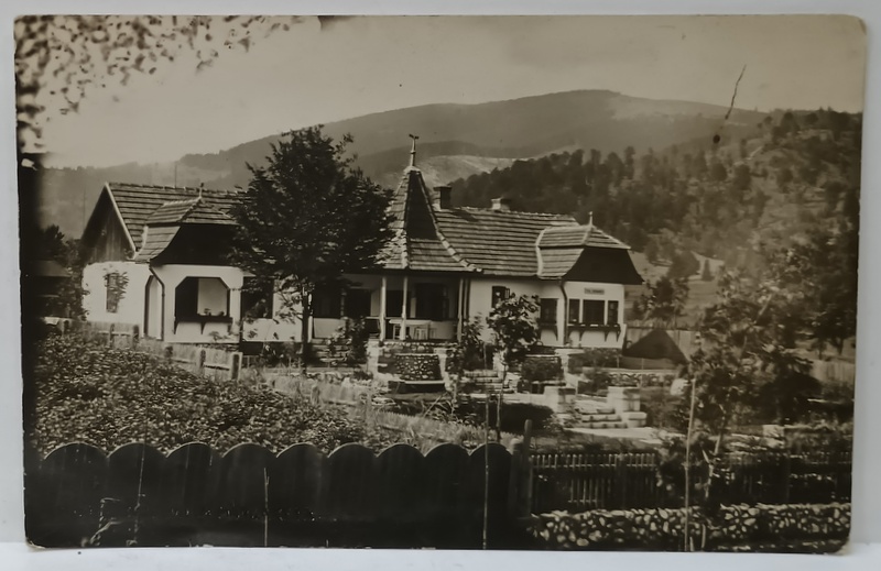 FOTO KLEIN , DITRAU , HARGHITA , VILA CU GRADINA ' MARGARETA '  , CARTE POSTALA ILUSTRATA , PERIOADA INTERBELICA