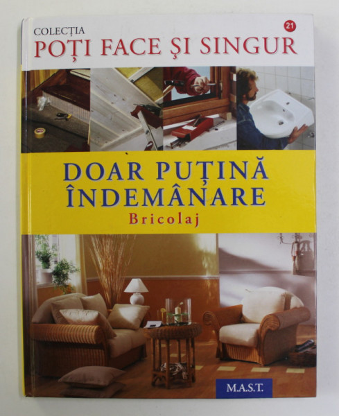 DOAR  PUTINA INDEMANARE - BRICOLAJ de DIETRICH ENGELHARD , 2010