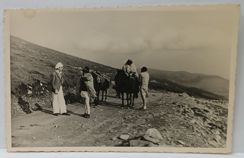 DOI TURISTI VORBIND CU DOI CIOBANI PE O CULME DE MUNTE , FOTOGRAFIE FORMAT CARTE POSTALA , PERIOADA  INTERBELICA