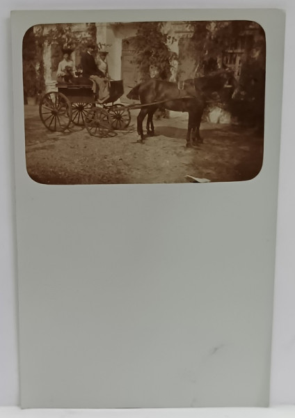 DOUA DOAMNE IN TRASURA , CU VIZITIU , TRASA DE CAL , FOTOGRAFIE , PE CARTE POSTALA , CLASICA , SFARSITUL SEC. XIX