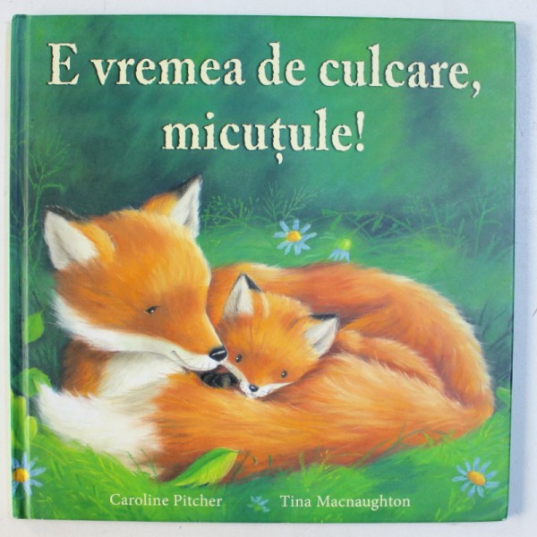 E VREMEA DE CULCARE , MICUTULE ! de CAROLINE PITCHER , ilustratii de TINA MACNAUGHTON , 2009