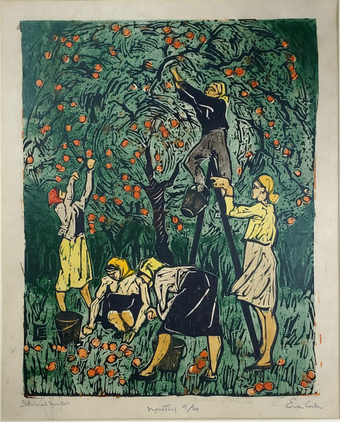 Eva Cerbu Siegler (1924-2008) - Strânsul merelor
