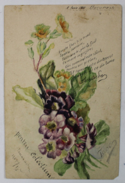 FELICITARE , FLORI SI VERSURI , ACUARELA , CARTE POSTALA DESENATA SI SCRISA MANUAL  , 1907