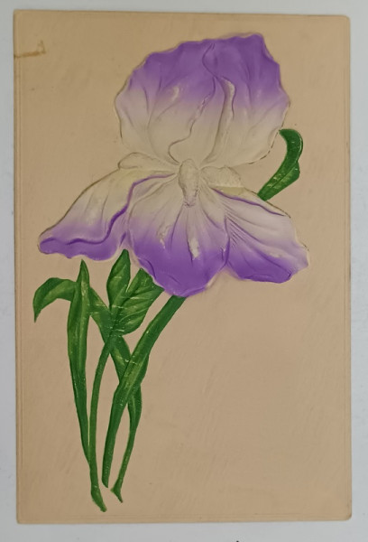 FLOARE DE IRIS , CARTE POSTALA ILUSTRATA , EMBOSATA , COLOR , 1908