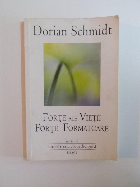 FORTE ALE VIETII , FORTE FORMATOARE de DORIAN SCHMIDT , 2011