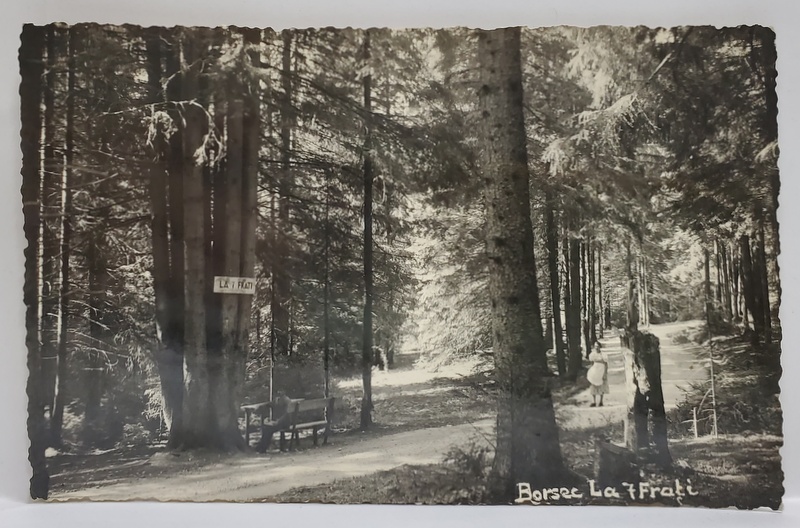 FOTOGRAF G. HEITER , BORSEC , LA '' 7 FRATI '' , FOTOGRAFIE TIP CARTE POSTALA , INTERBELICA