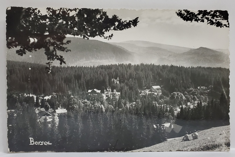 FOTOGRAF G. HEITER , BORSEC , VEDERE DE ANSAMBLU , CARTE POSTALA , INTERBELICA