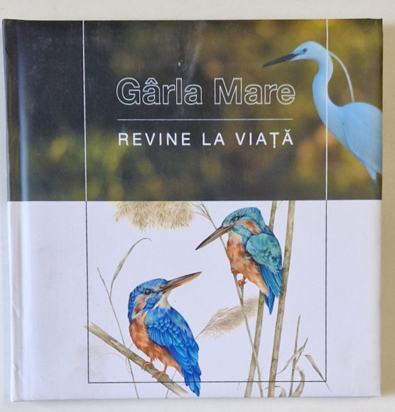 GARLA MARE , REVINE LA VIATA , ANII ' 2000