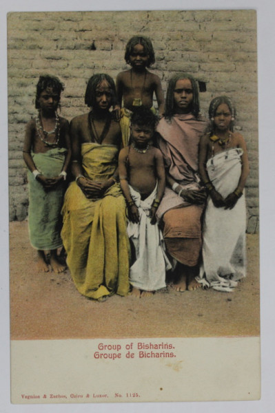 GROUP OF BISHARINS , AFRICA DE NORD - EST , CARTE POSTALA , INCEPUTUL SEC. XX