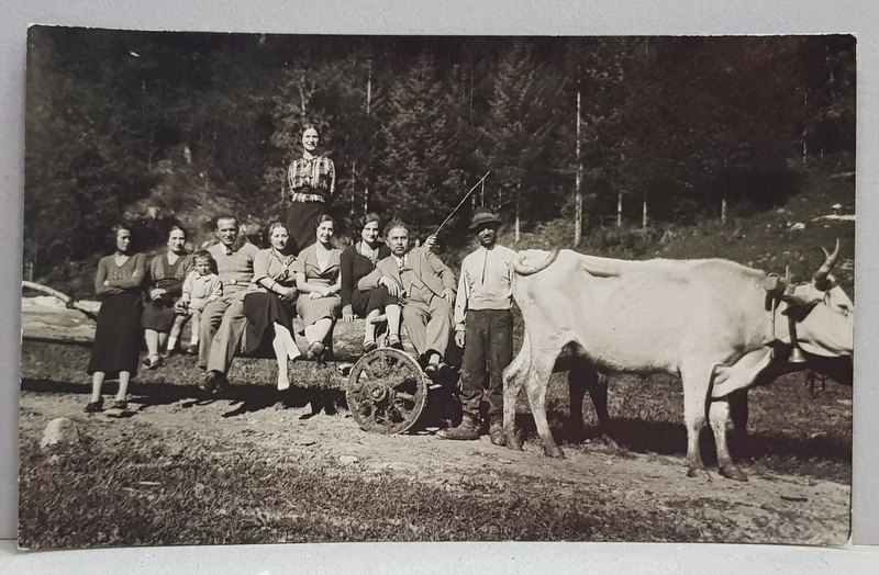 GRUP DE ORASENI PE UN CAR CU  BUSTENI ,  TRAS DE BOI , FOTOGRAFIE MONOCROMA, PE HARTIE CRETATA , PERIOADA INTERBELICA