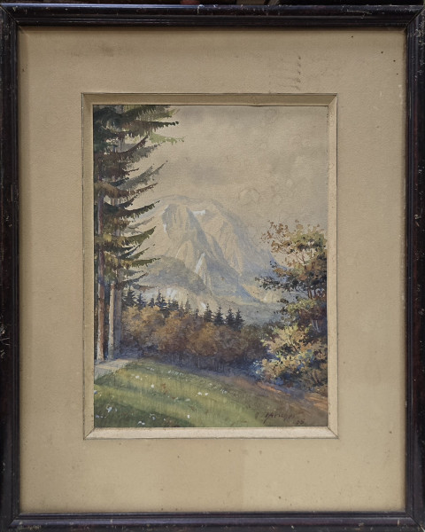 Hans Aescher (19)05 - Vedere spre Caraiman