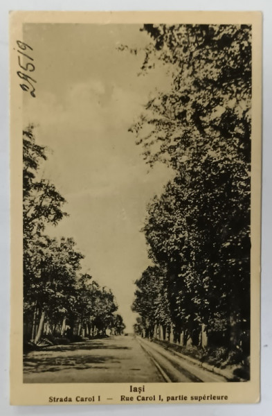 IASI , STRADA  CAROL I , FOTOGRAFIE FORMAT CARTE POSTALA , INTERBELICA