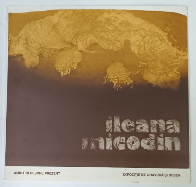 ILEANA MICODIM , EXPOZITIE DE GRAVURA SI DESEN , CATALOG , 1994