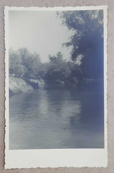 IN BALTILE BRAILEI , LA RUSAVA , FOTOGRAFIE TIP CARTE POSTALA , MONOCROMA, NECIRCULATA , DATATA  MAI 1934