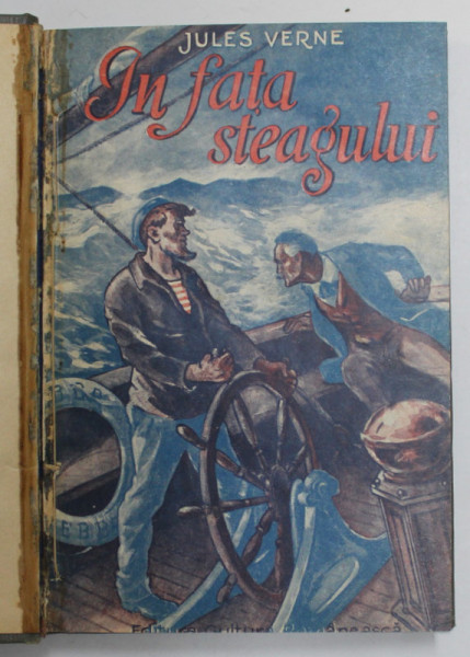 IN FATA STEAGULUI  de JULES VERNE