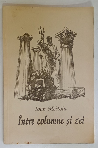 INTRE COLUMNE SI ZEI de IOAN MEITOIU , 1996