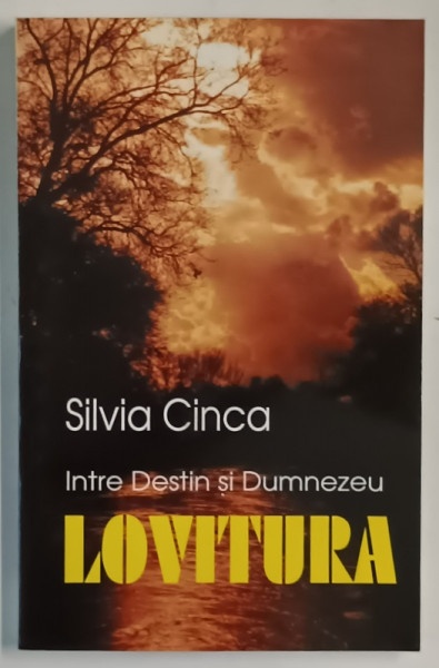 INTRE DESTIN SI DUMNEZEU , LOVITURA de SILVIA CINCA , 2000 *SEMNATURA