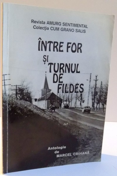 INTRE FOR SI TURNUL DE FILDES de MARCEL CRIHANA , 1998