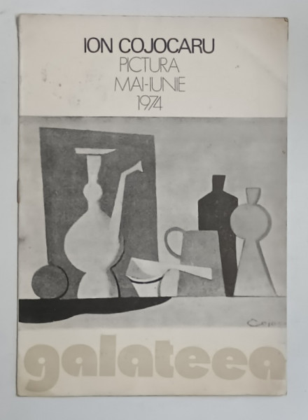 ION COJOCARU , PICTURA , CATALOG DE EXPOZITIE , 1974, PREZINTA URME DE UZURA