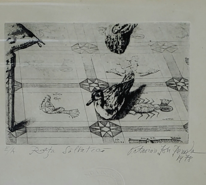 Ion Octavian Penda (1956-2011) - Rata Salbateca, 1978