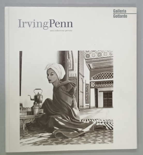 IRVING PENN , UNA COLLEZIONE PRIVATA , ALBUM DE FOTOGRAFIE CU TEXT IN GERMANA  SI ITALIANA , 1993