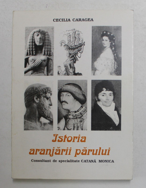 ISTORIA ARANJARII PARULUI de CECILIA CARAGEA , 1997