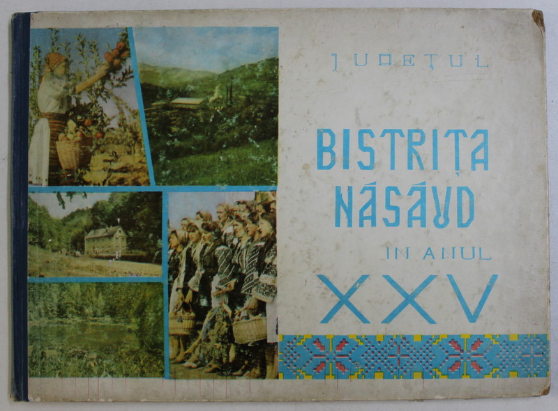 JUDETUL BISTRITA NASAUD IN ANUL XXV