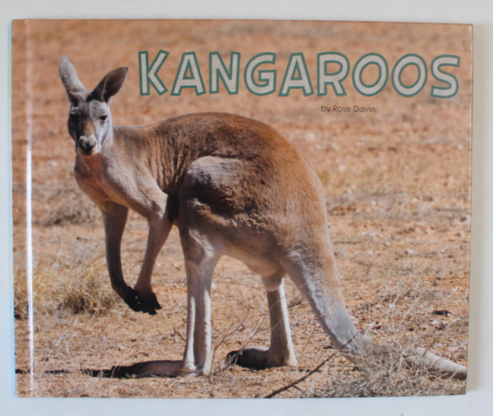 KANGAROOS , MEET DESERT ANIMALS by ROSE DAVIN , 2017