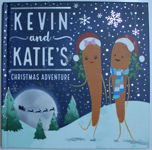 KEVIN AND KATIE ' S  - CHRISTMAS ADVENTURE , 2017