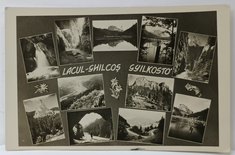 LACUL GHILCOS , GHEORGHIENI , CARTE POSTALA ILUSTRATA , MONTAJ CU 11 INSTANTANEE  DIN LOCALITATE , INTERBELICA
