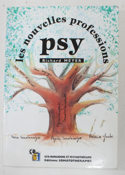 LES NOUVELLES PROFESSIONS PSY par RICHARD MAYER , 1999