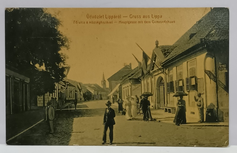LIPOVA , STRADA PRICIPALA CU PRIMARIA , CARTE POSTALA , 1908