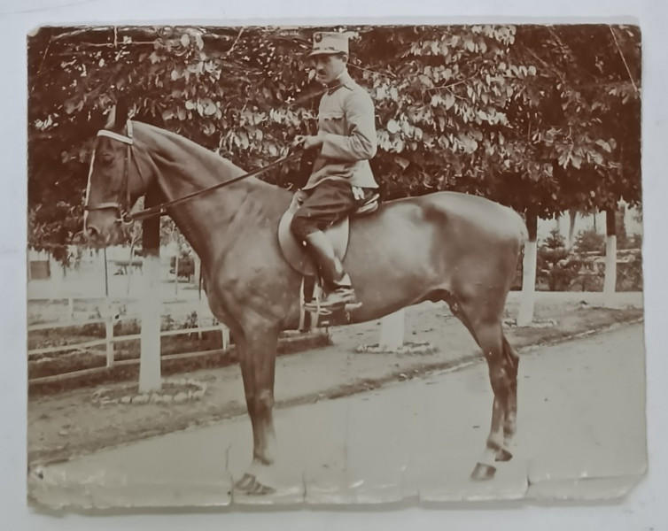 MAIOR ROMAN , CAVALERIST , CALARE PE CAL , FOTOGRAFIE , 1915