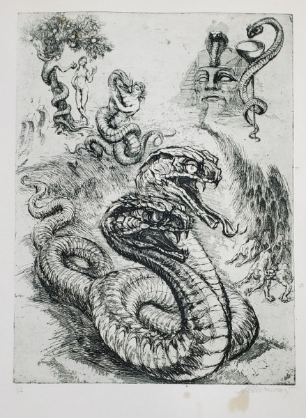 Marcel Chirnoaga (1930-2008) - Sarpele