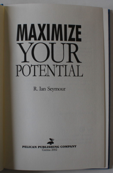 MAXIMIZE YOUR POTENTIAL by R. IAN SEYMOUR , 2002