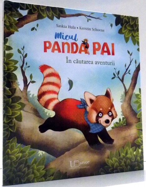 MICUL PANDA-PAI, IN CAUTAREA AVENTURII de SASKIA HULA, KERSTIN SCHOENE , 2016