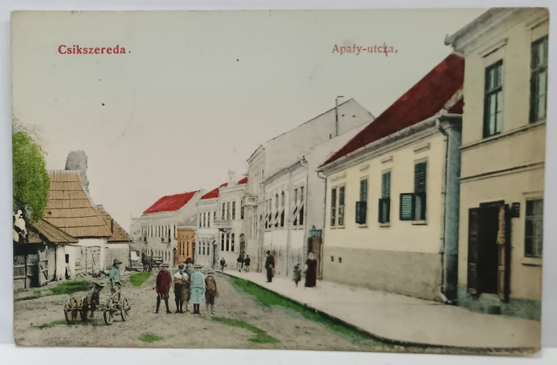 MIERCUREA  CIUC , STRADA APAFY , CARTE POSTALA ILUSTRATA , 1906