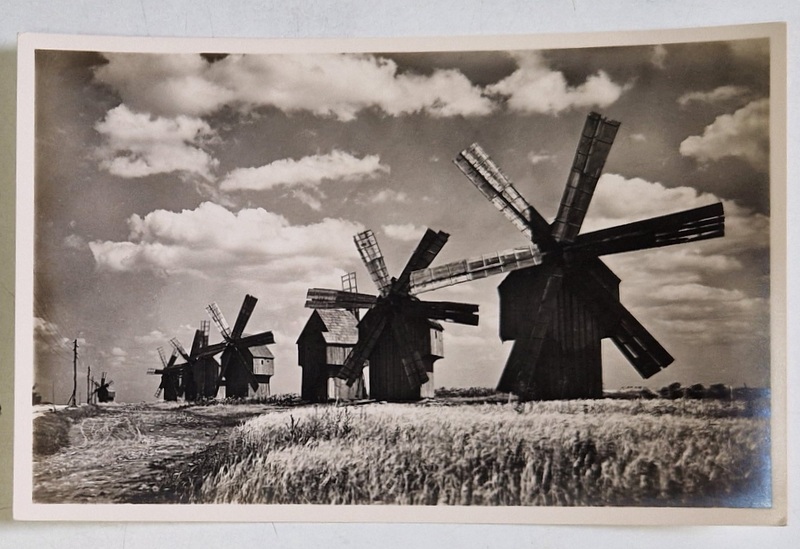 MORI DE VANT IN BASARABIA , FOTOGRAFIE TIP CARTE POSTALA , INTERBELICA