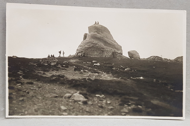 MUNTII BUCEGI  - OMUL , FOTOGRAFIE TIP CARTE POSTALA , MONOCROMA, NECIRCULATA , PERIOADA INTERBELICA