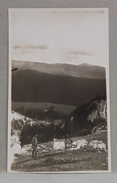 MUNTII BUCEGI , PEISAJ , FOTOGRAFIE TIP CARTE POSTALA , MONOCROMA, NECIRCULATA , PERIOADA INTERBELICA