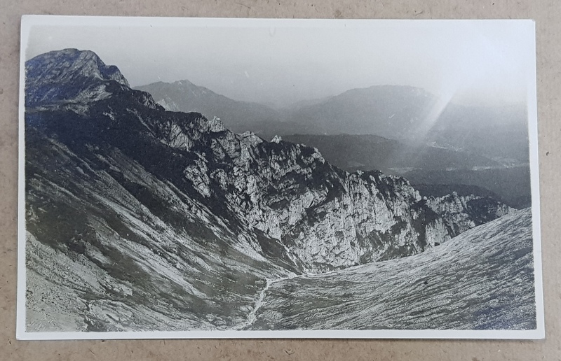 MUNTII BUCEGI , VALEA INTRE BUCSOIU SI MORARU , FOTOGRAFIE TIP CARTE POSTALA , MONOCROMA, NECIRCULATA , PERIOADA INTERBELICA