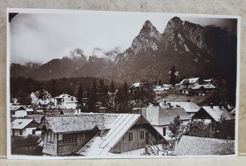 MUNTII BUCEGI VAZUTI DIN BUSTENI , FOTOGRAFIE TIP CARTE POSTALA , MONOCROMA, NECIRCULATA , PERIOADA INTERBELICA