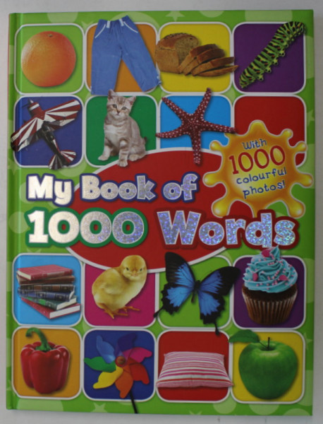 MY BOOK OF 1000 WORDS , WITH 1000 COLOURFUL PHOTOS , 2012